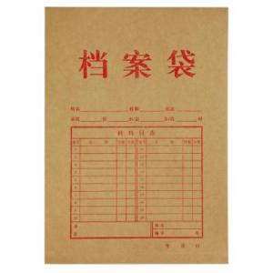 齐心 本色纯木浆牛皮纸 竖式档案袋 A4(10个/套) AP-117牛皮纸色